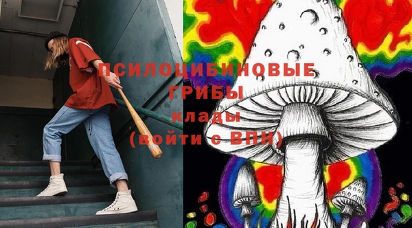 МДПВ Артём