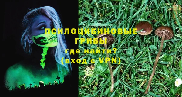 крисы Карталы