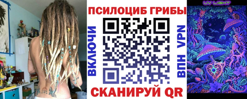 Галлюциногенные грибы Psilocybe  Курлово 